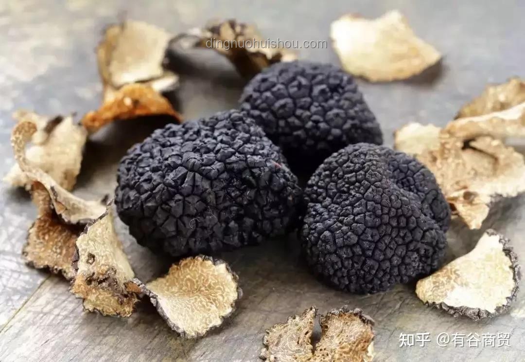如何完美呈现《二重螺旋》松露与榛子PV中“希望的滋味”